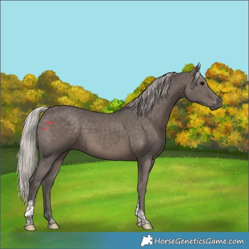 Horse Color:Silver Black Tobiano