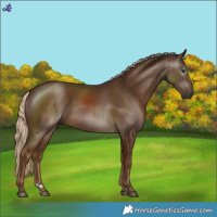 Horse Color:Gray Chocolate Palomino 