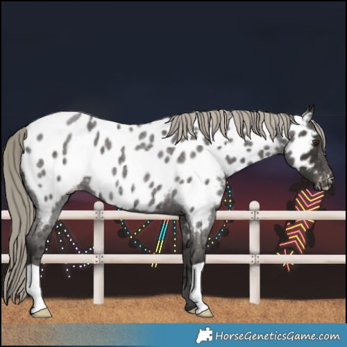 Horse Color:Liver Red Roan Near Leopard 