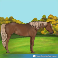 Horse Color:Gray Chocolate Palomino