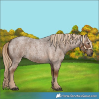 Horse Color:Gray Chocolate Palomino Roan