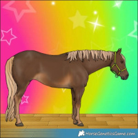 Horse Color:Gray Chocolate Palomino 