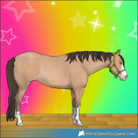 Horse Color:Amber Champagne Rabicano 