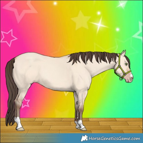 Horse Color:Amber Champagne Dun 