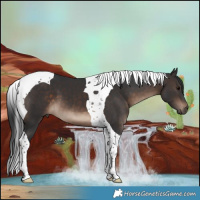 Horse Color:Brown Tobiano