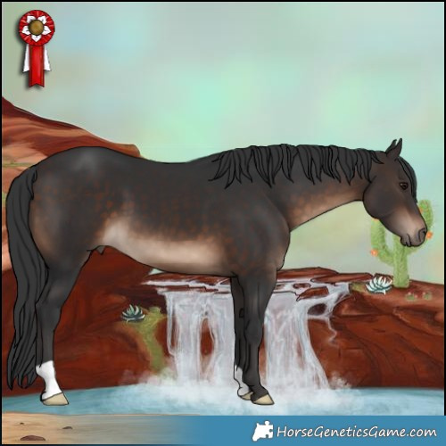 Horse Color:Brown 