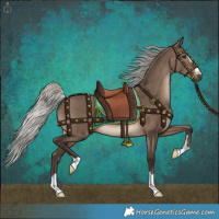 Horse Color:Silver Brown Dun 