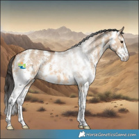 Horse Color:Bay Dun Sabino 