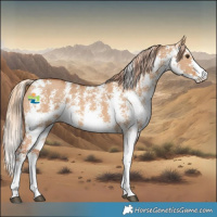 Horse Color:Red Dun Sabino 