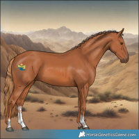 Horse Color:Chestnut Sabino