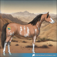 Horse Color:Bay Sabino 