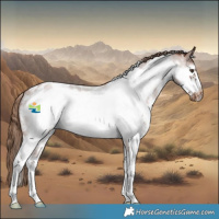 Horse Color:Red Roan Sabino Frame Appaloosa