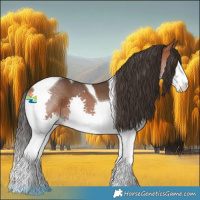 Horse Color:Bay Splash Tobiano 
