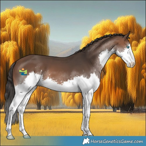 Horse Color:Brown Splash 