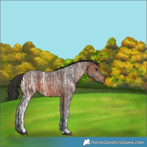 Horse Color:Brown Ice 