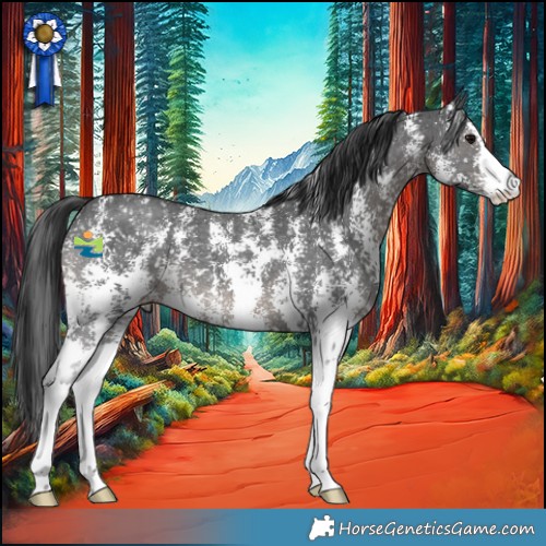 Horse Color:Black Sabino Snowflake Varnish 