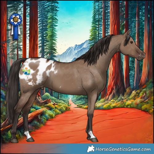 Horse Color:Liver Red Dun Blanket 