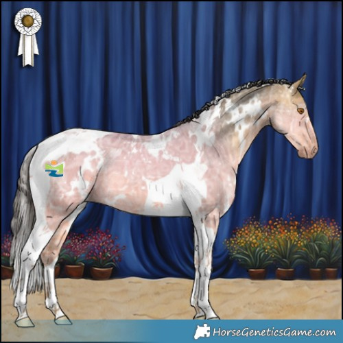 Horse Color:White Spotted Buckskin Ice Dun Tobiano 
