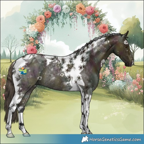 Horse Color:Midnight Buckskin Ice Dun Tobiano Rabicano 