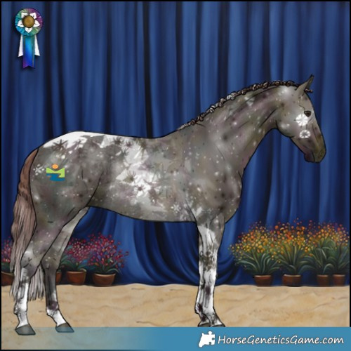 Horse Color:Midnight Chocolate Buckskin Ice Dun Tobiano Rabicano 