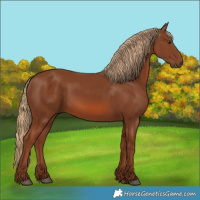 Horse Color:Chestnut 