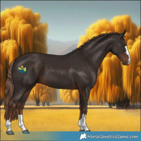 Horse Color:Liver Chestnut 
