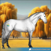 Horse Color:Gray Bay 