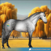 Horse Color:Gray Bay 