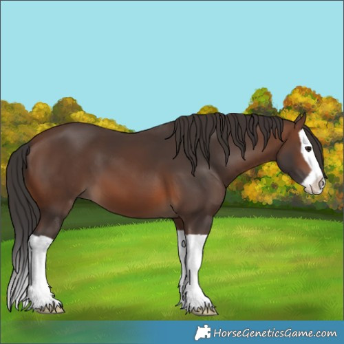 Horse Color:Brown Splash 