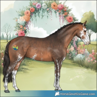 Horse Color:Bay Sabino