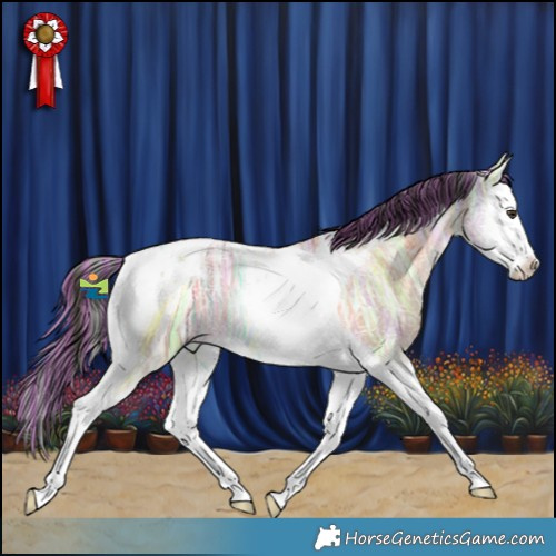 Horse Color:Painted Liver Red Dun Ice Splash Tobiano 