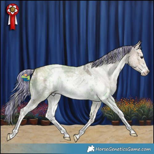 Horse Color:Painted White Spotted Silver Brown Ice Dun Sabino 