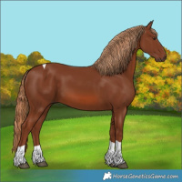 Horse Color:Chestnut Tobiano 