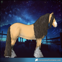 Horse Color:Buckskin Dun 