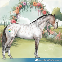 Horse Color:Brown Roan Sabino Near Leopard Rabicano