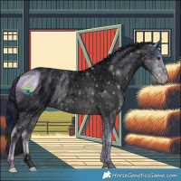 Horse Color:ERROR: UNKNOWN ANOMALY