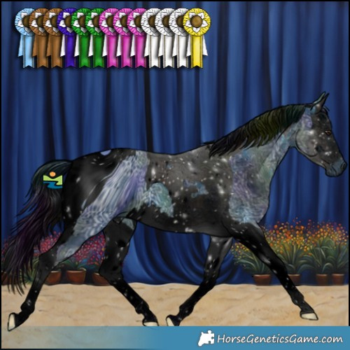 Horse Color:ERROR: UNKNOWN ANOMALY