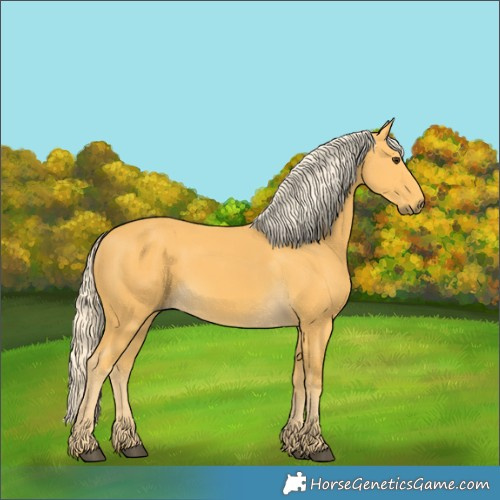 Horse Color:Palomino 