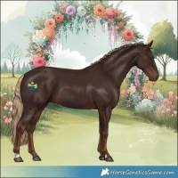 Horse Color:Liver Chestnut 