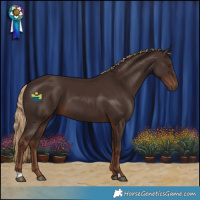 Horse Color:Liver Chestnut 