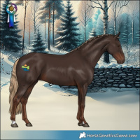 Horse Color:Liver Chestnut 