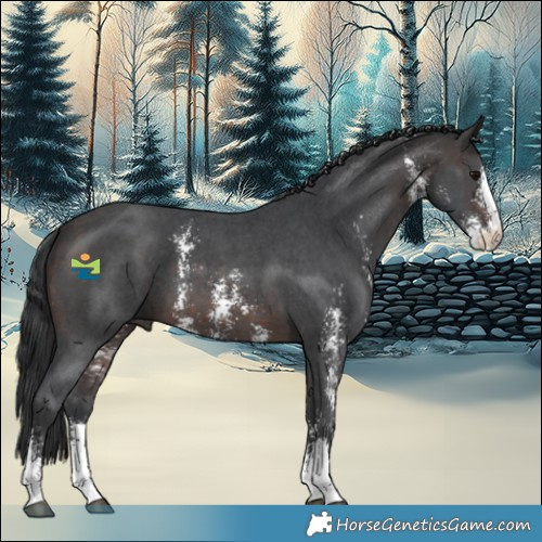 Horse Color:Brown Sabino 
