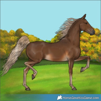 Horse Color:Gray Chocolate Palomino 