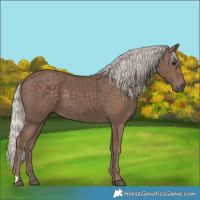 Horse Color:Silver Black 