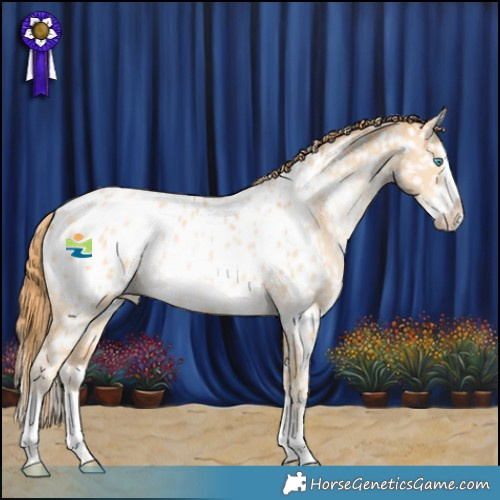 Horse Color:White Spotted Buckskin Snowdrop Splash Blanket Rabicano 