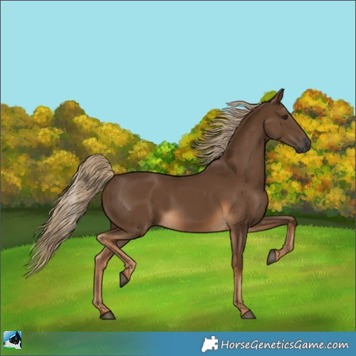 Horse Color:Gray Chocolate Palomino 