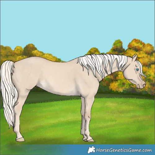 Horse Color:Cremello Dun