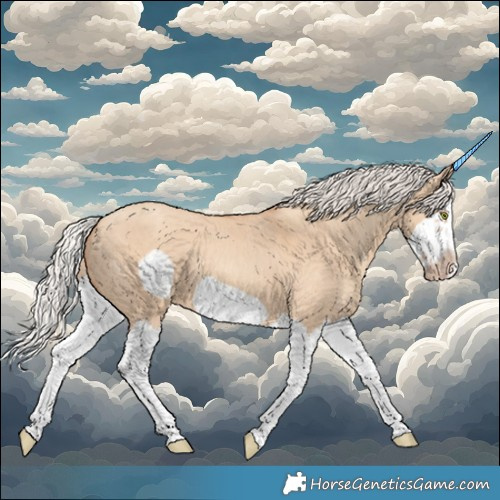 Horse Color:Silver Classic Champagne Dun Splash Frame