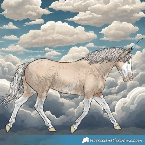 Horse Color:Silver Classic Champagne Dun Splash Frame 