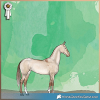 Horse Color:Brown Pearl Dun Sabino Rabicano 